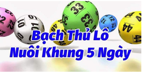 Bạch thủ khung 5 ngày 