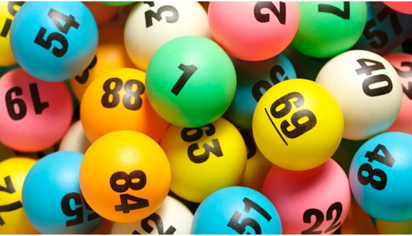 bạch thủ lô và song thủ lô nuôi 5 ngày