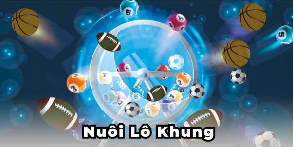 nuôi lô khung