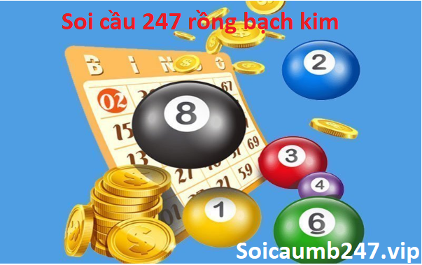 soi cầu 247 rồng bạch kim