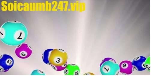 3 phương pháp soi cầu bạch thủ hiệu quả để nuôi 1 ngày