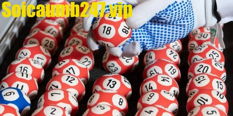 Các phương pháp chọn cặp song thủ để nuôi khung 5 ngày