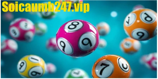 Gợi ý số bạch thủ đẹp hôm nay và kinh nghiệm chọn hiệu quả