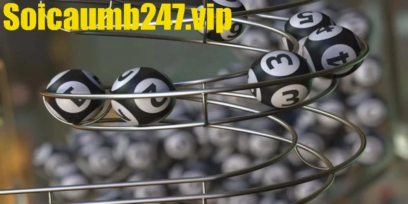 Kinh nghiệm chọn bạch thủ lô kép nuôi 1 ngày hiệu quả