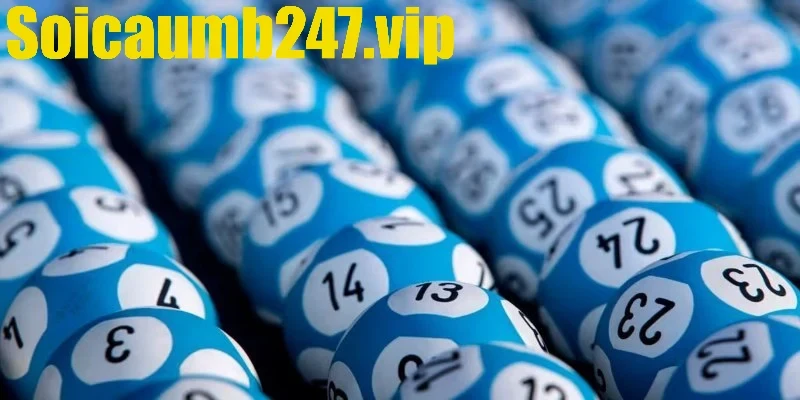 Hướng dẫn phân tích và chọn bạch thủ hiệu quả ngắn hạn