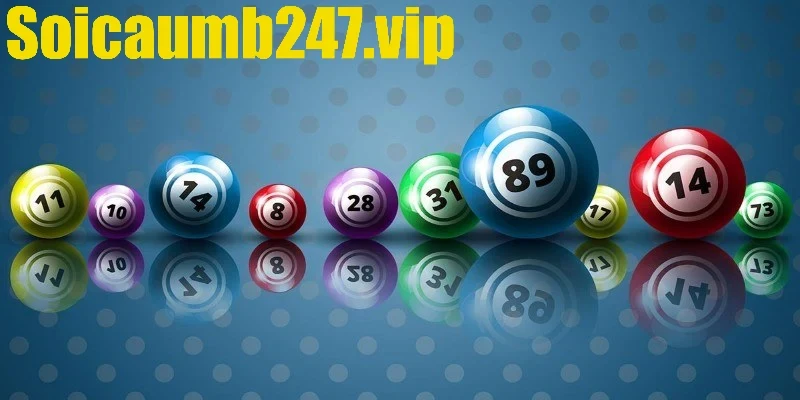 Hướng dẫn soi cầu và chốt bạch thủ hiệu quả từ chuyên gia