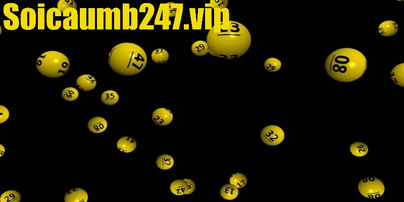 Cách chọn và nuôi dàn 20 số đề hiệu quả hôm nay