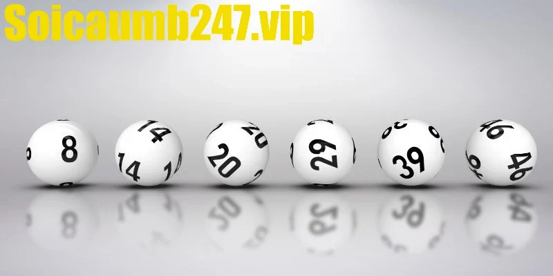 Dàn đề 25 số giúp tối ưu tỷ lệ thắng trong 2 ngày