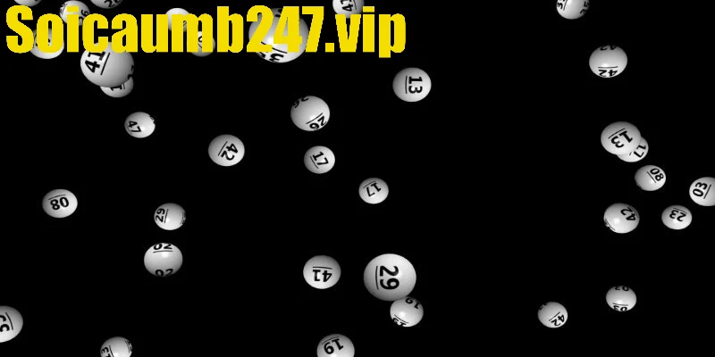 Cách tạo dàn 36 số đề Rồng Bạch Kim từ chuyên gia