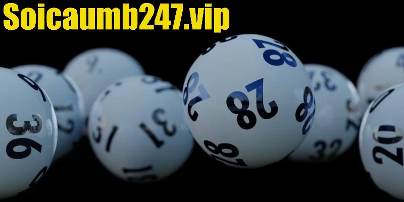 Kinh nghiệm chọn bộ số lô kép đẹp dễ trúng thưởng