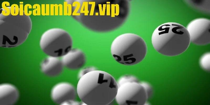 4 phương pháp sáng tạo khi soi lô kép nuôi 2 ngày