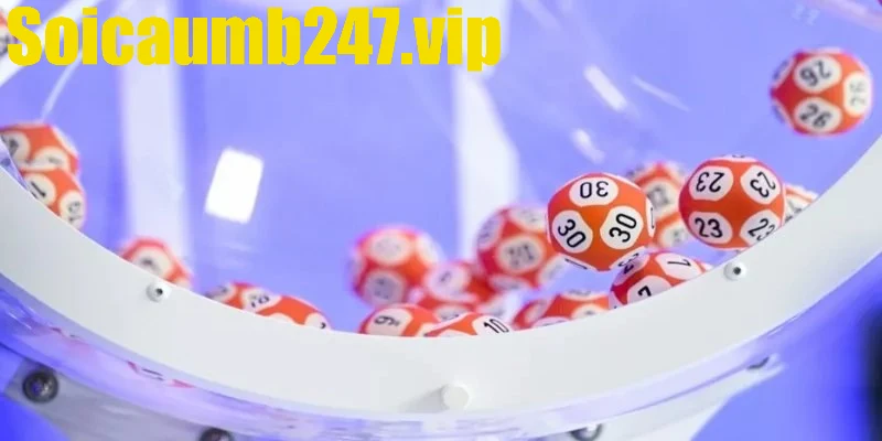 Các phương pháp soi 3 càng miền Bắc hiệu quả hiện nay