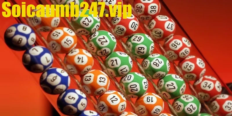 Chiến lược chơi song thủ đề ổn định trong 5 ngày