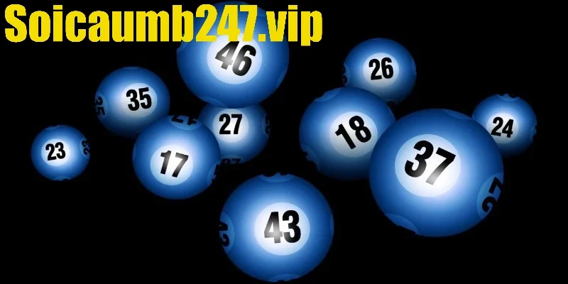 Song Thủ Lô Nuôi Khung 3 Ngày