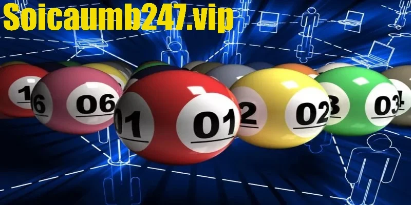 Kinh nghiệm bắt song thủ lô chuẩn xác nuôi khung 5 ngày