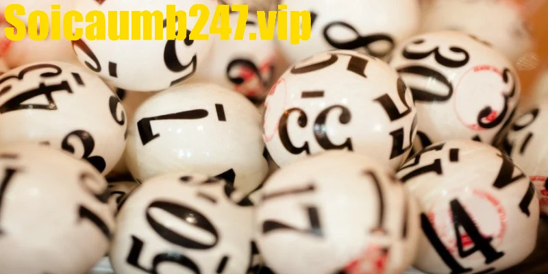 Kinh nghiệm soi dữ liệu xác định đề về đầu 4 đánh con gì