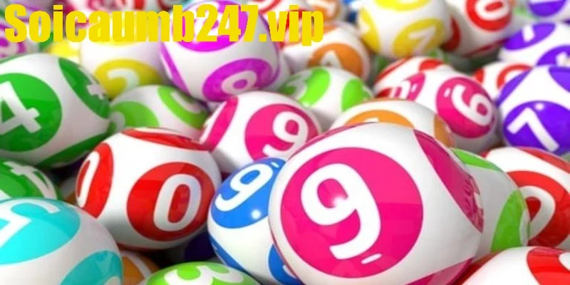 Hướng dẫn soi cầu Rồng Bạch Kim 555 giúp thắng lớn