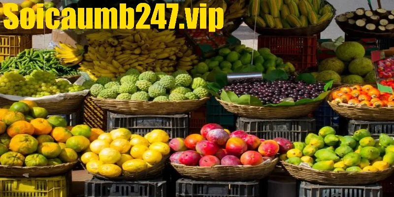 Tín hiệu tài lộc bất ngờ khi nằm mơ thấy ăn hoa quả